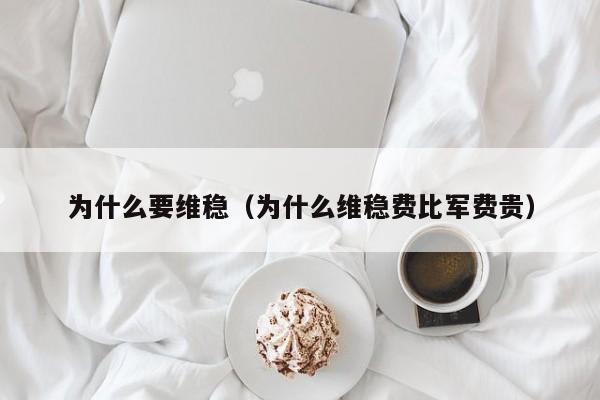 为什么要维稳（为什么维稳费比军费贵）