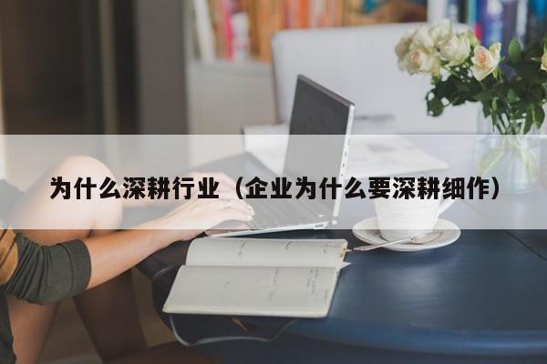 为什么深耕行业（企业为什么要深耕细作）