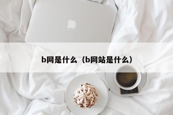 b网是什么（b网站是什么）