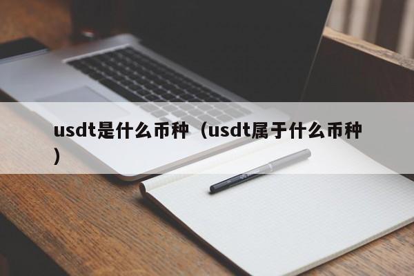 usdt是什么币种（usdt属于什么币种）