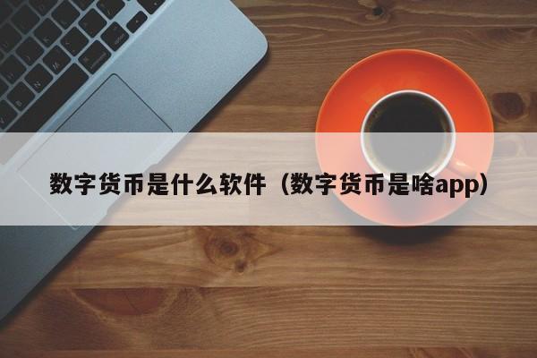 数字货币是什么软件（数字货币是啥app）