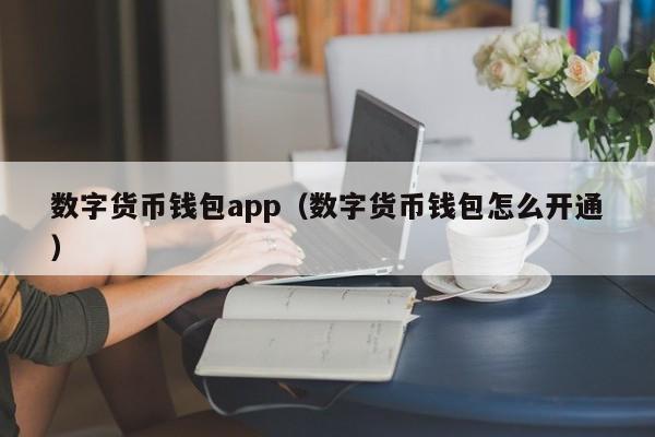数字货币钱包app（数字货币钱包怎么开通）