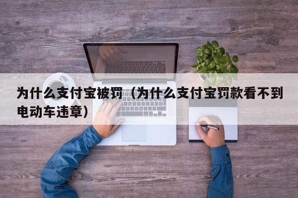 为什么支付宝被罚（为什么支付宝罚款看不到电动车违章）