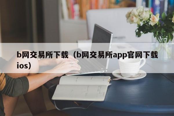 b网交易所下载（b网交易所app官网下载ios）