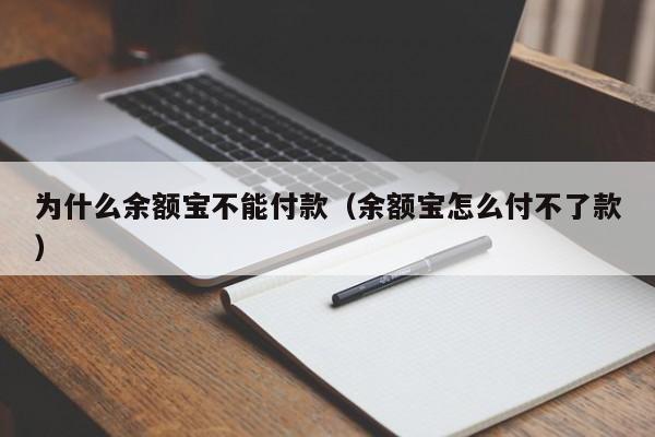 为什么余额宝不能付款（余额宝怎么付不了款）