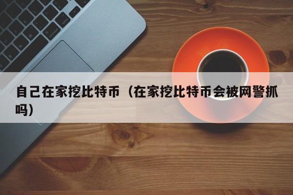 自己在家挖比特币（在家挖比特币会被网警抓吗）