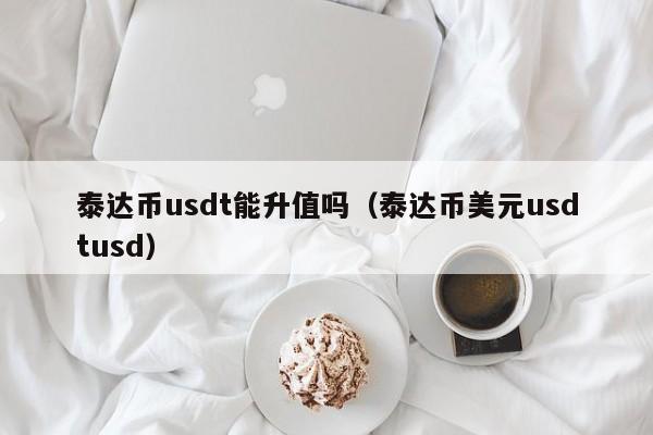 泰达币usdt能升值吗（泰达币美元usdtusd）
