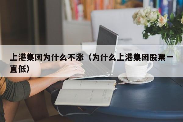 上港集团为什么不涨（为什么上港集团股票一直低）
