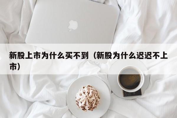 新股上市为什么买不到（新股为什么迟迟不上市）