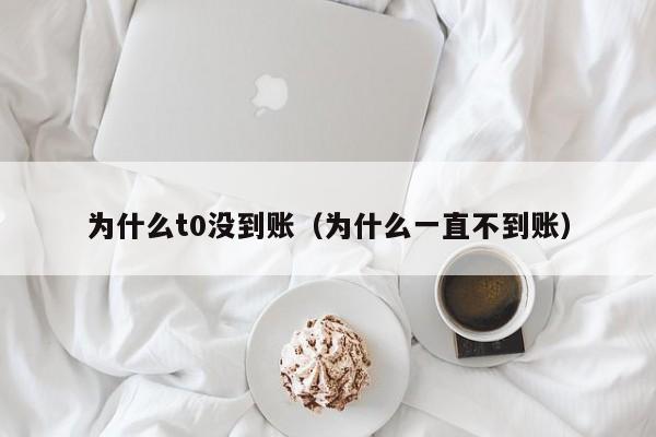 为什么t0没到账（为什么一直不到账）