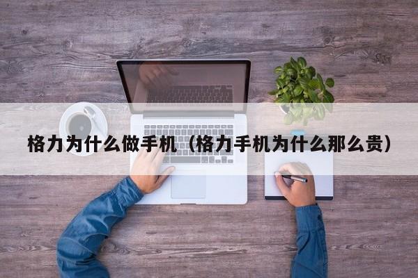 格力为什么做手机（格力手机为什么那么贵）