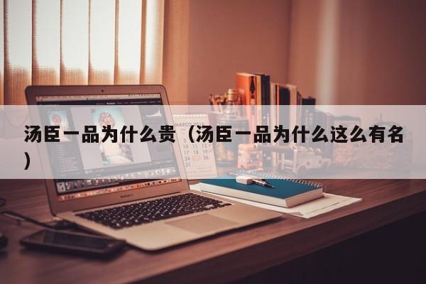 汤臣一品为什么贵（汤臣一品为什么这么有名）