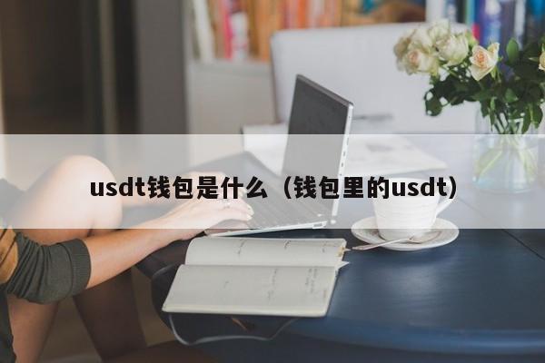 usdt钱包是什么（钱包里的usdt）
