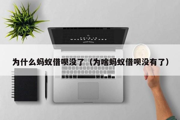 为什么蚂蚁借呗没了（为啥蚂蚁借呗没有了）