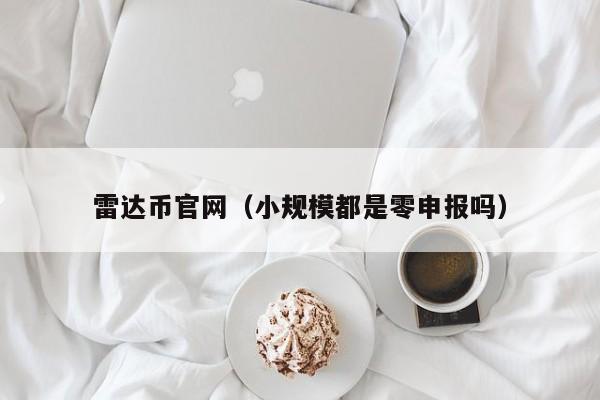 雷达币官网（小规模都是零申报吗）
