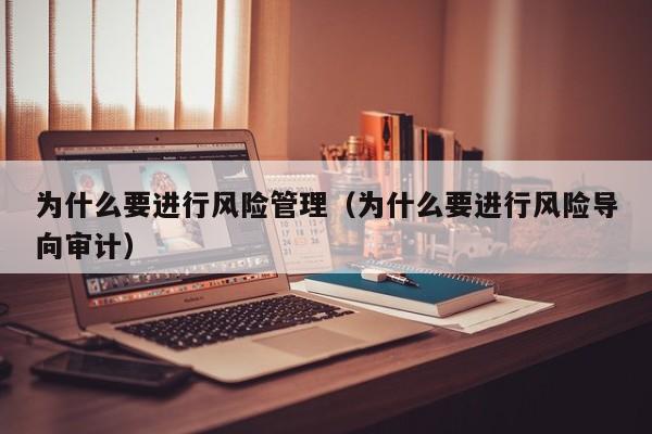 为什么要进行风险管理（为什么要进行风险导向审计）