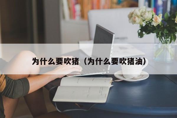 为什么要吹猪（为什么要吹猪油）
